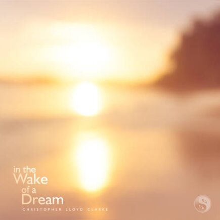 In the Wake of a Dream - Album Cover