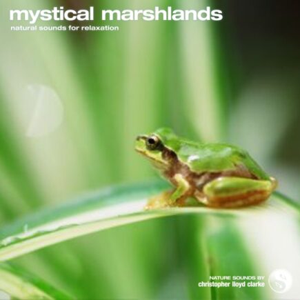 Mystical Marshlands - Album Cover