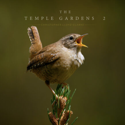 The Temple Gardens Volume 2 - Album Cover