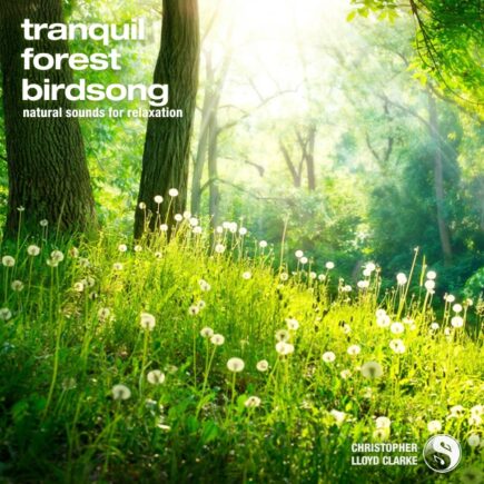 Tranquil Forest Birdsong - Album Cover
