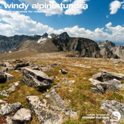 Windy Alpine Tundra - Album Cover