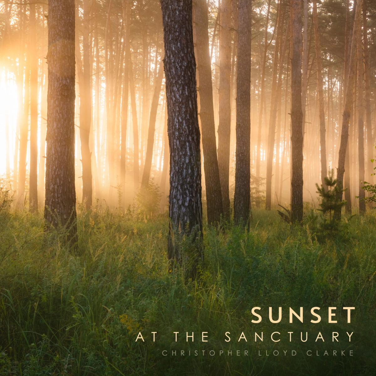 Sunset at the Sanctuary - Album Cover