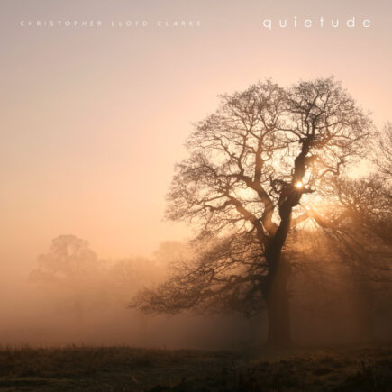 Quietude - Album Cover